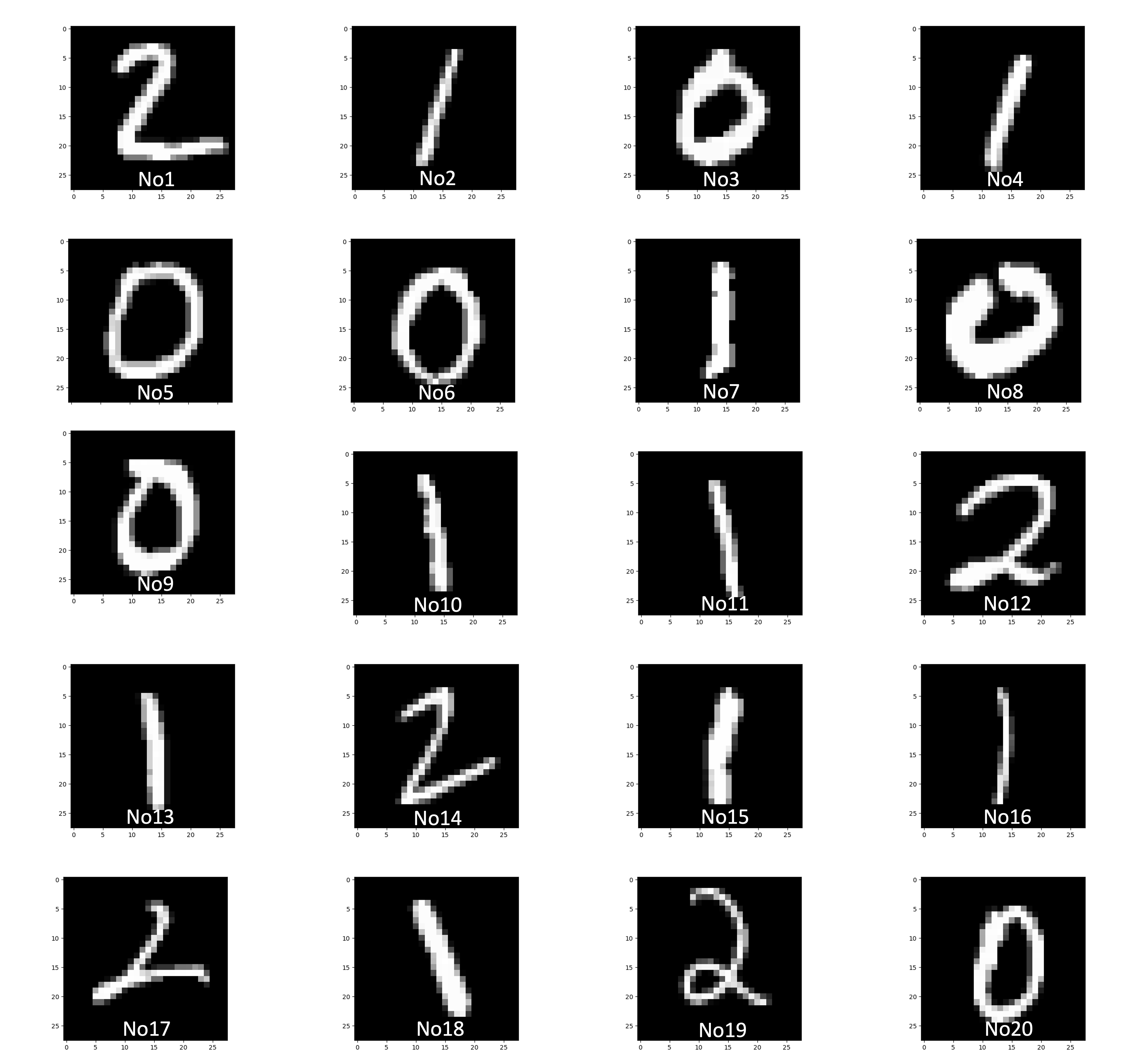 画像データ20個と予測値の図